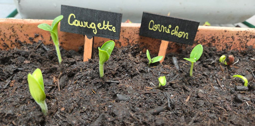 Marqueur potager
